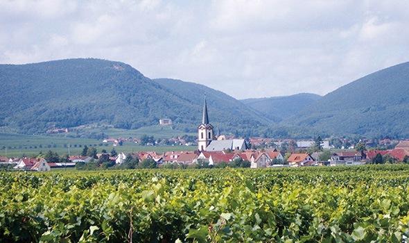 Weingut Anselmann 1541 - Edesheim-Pfalz - Duitsland