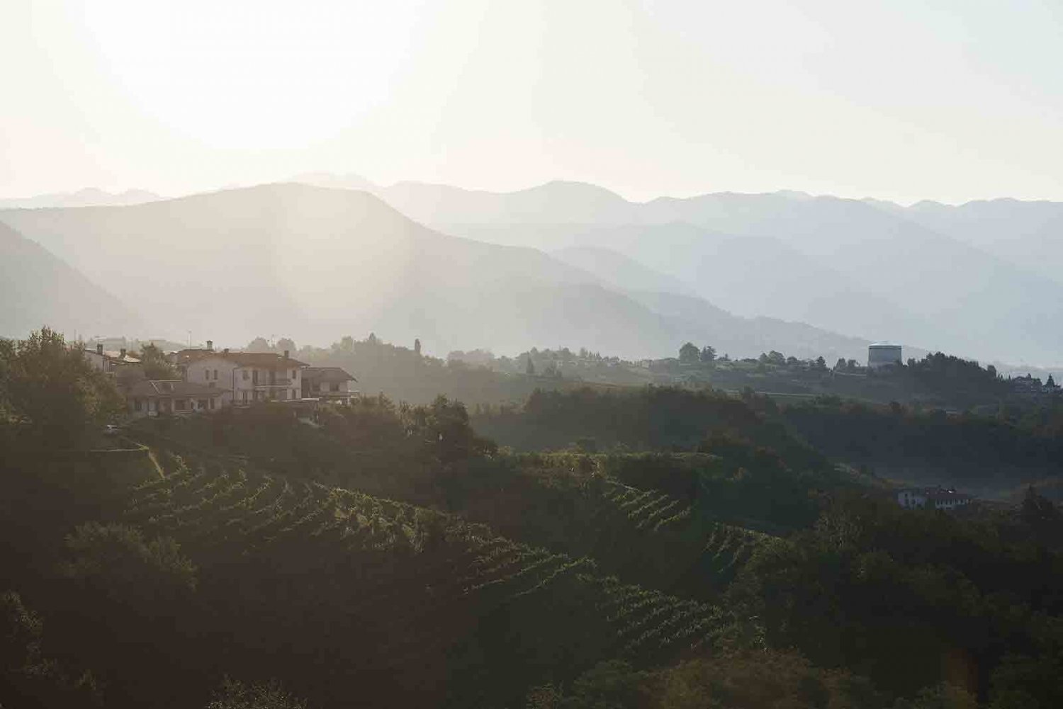Cantina Produttori Cormòns  - Isonzo-Friuli - Italië