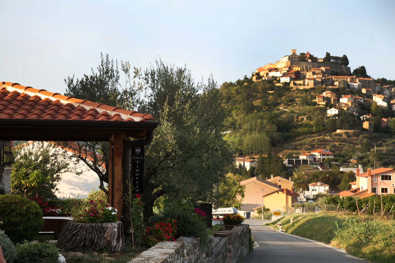 Vina Tomaz - Motovun - Kroatië