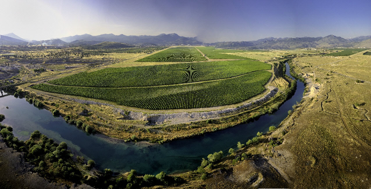 Plantaze 13. Jul  - Podgorica - Montenegro