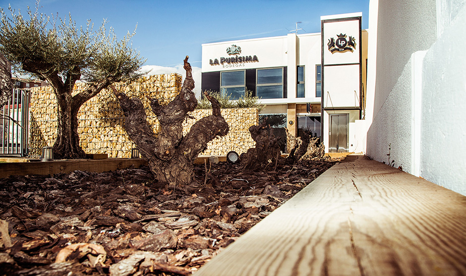 Bodegas La Purísima - Yecla-Murcia - Spanje